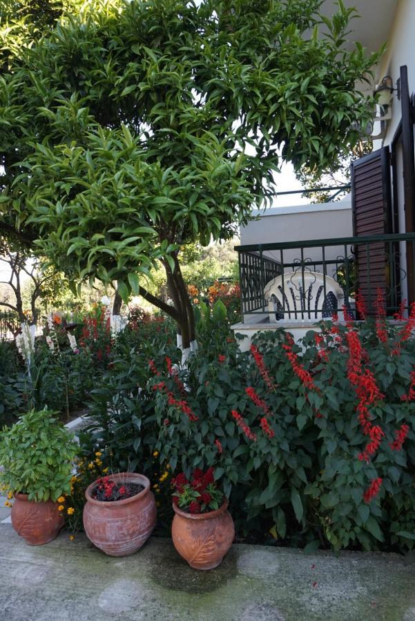 Villa Nikolaou Parga Buitenkant foto