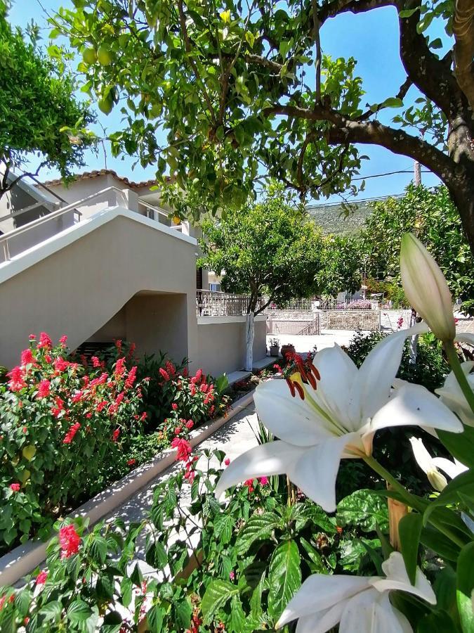 Villa Nikolaou Parga Buitenkant foto